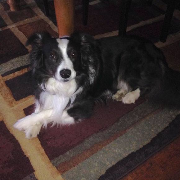 Meet your Posher, Monica - Picture 1 of 1